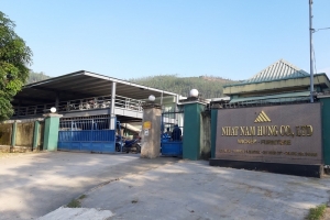 Bình Định: Một doanh nghiệp bị xử phạt vi phạm hành chính 210 triệu đồng