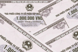 Năm 2020, tổng giá trị phát hành trái phiếu doanh nghiệp riêng lẻ thành công tăng 35,9%