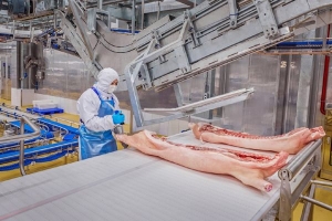 Giá heo hơi ngày 22/1: Đồng loạt đi lên trên toàn quốc