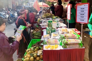 Hà Nội hỗ trợ các tỉnh, thành tiêu thụ đặc sản