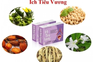 Tại sao Ích Tiểu Vương hiệu quả cho người bị đái dầm?