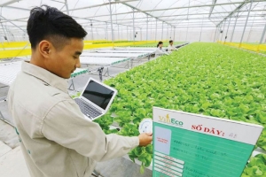 Ứng dụng công nghệ số tạo đà cho sản xuất nông nghiệp công nghệ cao