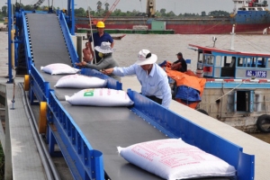 Giá trị xuất khẩu gạo trong tháng 1/2021 đạt 154 triệu USD