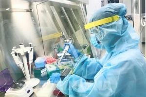 Thêm 18 ca mắc Covid-19 tại Quảng Ninh và Hải Dương