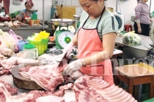 Đà Nẵng: Tăng cường kiểm soát hoạt động buôn lậu, vận chuyển, kinh doanh heo không rõ nguồn gốc