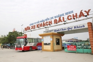 Quảng Ninh khôi phục hoạt động vận tải hành khách nội tỉnh
