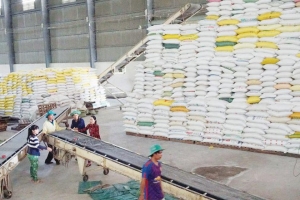 Tháng đầu năm 2021: Xuất khẩu gạo sụt giảm về cả sản lượng và kim ngạch