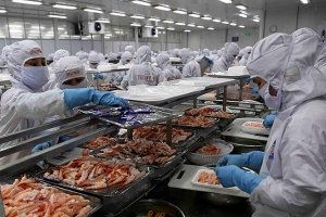 Nhiều mặt hàng xuất khẩu sang Úc tăng đột biến