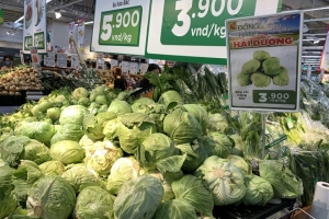 Chính phủ chỉ đạo tháo gỡ khó khăn trong lưu thông hàng hóa do dịch Covid -19
