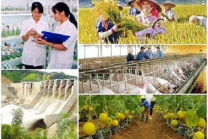 Kế hoạch cơ cấu lại ngành nông nghiệp giai đoạn 2021 - 2025