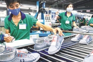 Năm 2021: Doanh nghiệp da giày kỳ vọng tăng trưởng