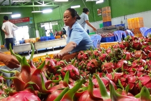 Cảnh báo đối với các hành vi lừa đảo, gian lận thương mại của một số doanh nghiệp tại UAE