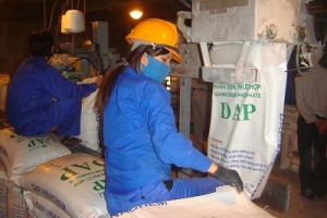 “Việc áp thuế tự vệ và nhập khẩu với phân bón DAP, MAP đang phản tác dụng”