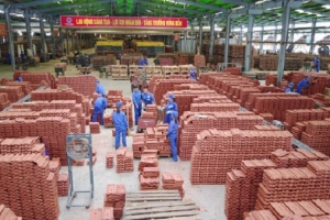 Yên Bái : Tổng Công ty Viglacera đề xuất nghiên cứu đầu tư tổ hợp công nghiệp, đô thị, dịch vụ