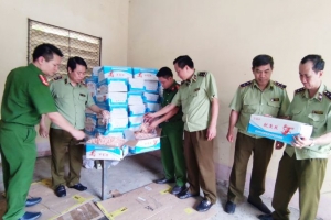 Chặn đứng 350 kg Mực khô ăn liền nhập lậu tại Lào Cai