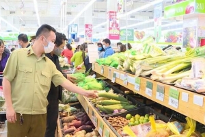 Thanh tra Bộ Y tế: Tăng cường thanh, kiểm tra thực hiện Tháng hành động vì an toàn thực phẩm