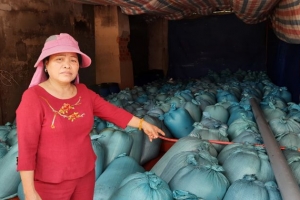Quảng Trị: Yêu cầu tiêu hủy 600 tấn hải sản tồn kho do sự cố môi trường biển Formosa gây ra