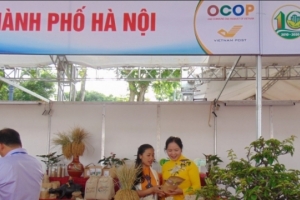Hà Nội đề xuất ban hành chính sách đồng bộ thực hiện Chương trình OCOP