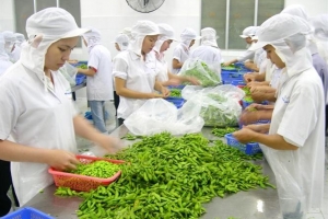 Thủ tướng phê duyệt Đề án phát triển ngành chế biến rau quả giai đoạn 2021-2030