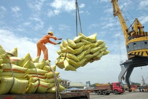 Trong tháng 4, xuất khẩu gạo tiếp tục tăng trưởng cao