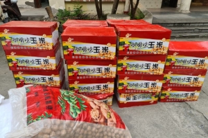 Bắt giữ gần 500kg lương thực, thực phẩm nhập lậu