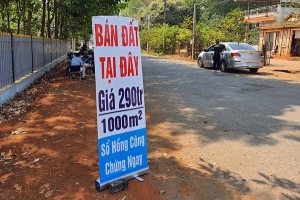 Tăng cường chấn chỉnh công tác quản lý Nhà nước về giá đất