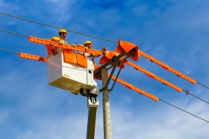 EVN đảm bảo điện cho phát triển kinh tế - xã hội và phòng chống dịch