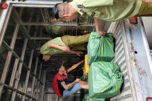 Hà Nội: Tạm giữ 600kg tràng trứng gà non không rõ nguồn gốc xuất xứ
