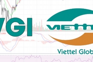 Tổng công ty CP Đầu tư quốc tế Viettel bị xử phạt 100 triệu