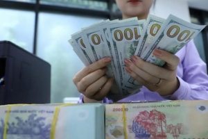 Mỹ đưa Việt Nam ra khỏi danh sách các nước thao túng tiền tệ