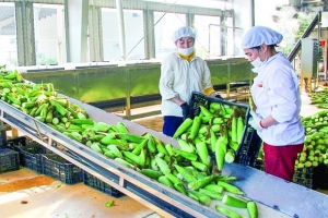 Thanh Hóa: Giá trị hàng hóa xuất khẩu đạt hơn 942,868 triệu USD trong quý I/2021