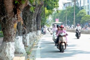Dự báo thời tiết ngày 20/06: Bắc và Trung Bộ nắng nóng
