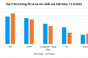 Xuất khẩu cá tra bắt đầu phục hồi