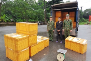 Quảng Ninh: Bắt giữ 500 kg cá tầm nhập lậu từ Trung Quốc