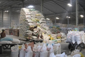 Cấp hơn 59 tấn gạo kỳ giáp hạt cho Sơn La