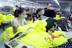 Quan hệ thương mại Việt Nam - EU: Từng bước đi vào chiều sâu