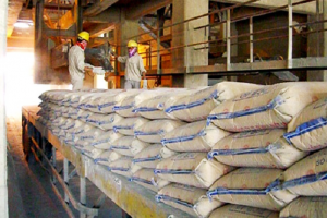 Sản lượng tiêu thụ xi măng tăng 16,5%