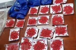 Hà Nội: Tăng cường kiểm soát các loại tiền chất, thuốc gây nghiện
