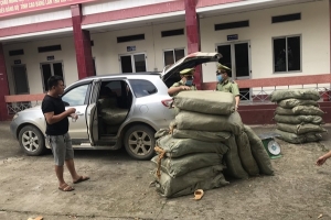 Cao Bằng: Thu giữ 579 kg nguyên liệu thuốc lá không rõ nguồn gốc xuất xứ
