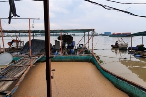 Tiền Giang: Sà lan tải trọng trên 1.300 tấn tông chìm 2 bè cá trên sông Tiền