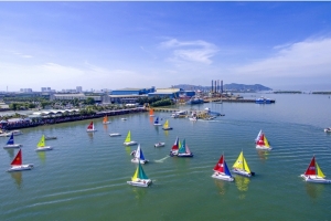 Phó chủ tịch Hiệp hội du lịch Quảng Bình lên tiếng về bến thuyền du lịch Vũng Tàu Marina