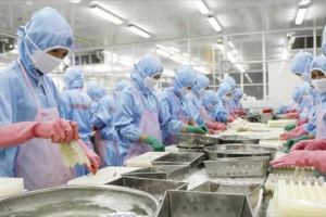 Thành lập Hội đồng Cố vấn về Chứng nhận Bền vững của VASEP