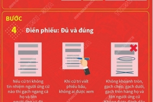 Quy trình 6 bước cử tri thực hiện khi đi bầu cử