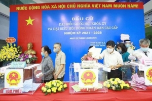 Quận Cầu Giấy (Hà Nội): Đến 16 giờ 30, tỷ lệ cử tri đi bầu cử đạt hơn 90%
