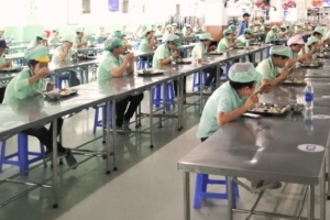 Đà Nẵng: Siết chặt công tác phòng, chống Covid-19 tại các khu công nghiệp