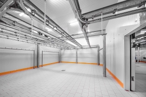 Khan hiếm kho lạnh: Cơ hội đầu tư lớn cho các nhà phát triển bất động sản
