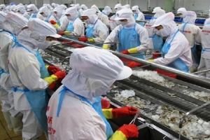 Xuất khẩu tôm sang khối CPTPP, EU tăng mạnh