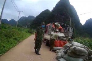 Cao Bằng: Tịch thu hơn 2 tấn nguyên liệu thuốc lá không rõ nguồn gốc