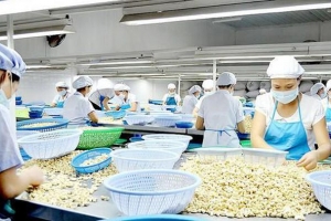 Thúc đẩy hoạt động tạo lập và khai thác tài sản trí tuệ