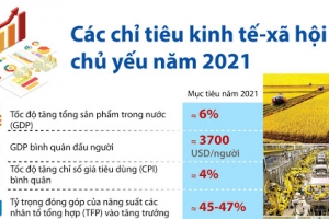 Thủ tướng Chính phủ chỉ đạo triển khai nhiệm vụ tại Nghị quyết 161/2021/QH14 của Quốc hội